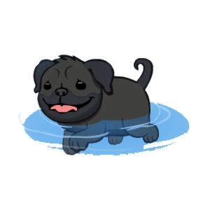 Midnight the Paddling Pug